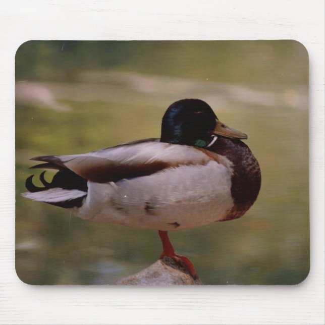 Duck Mousepad (Front)