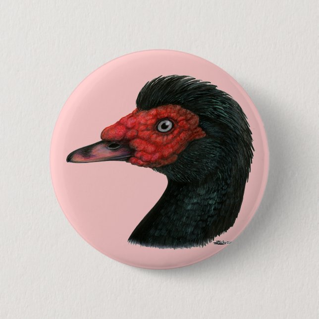Duck:  Muscovy Head 6 Cm Round Badge (Front)