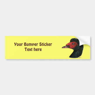 Duck:  Muscovy Head Bumper Sticker