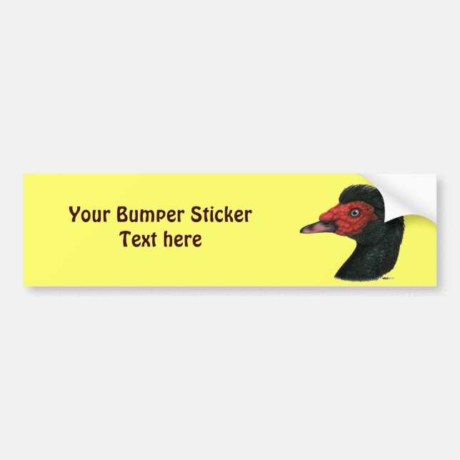 Duck:  Muscovy Head Bumper Sticker (Front)
