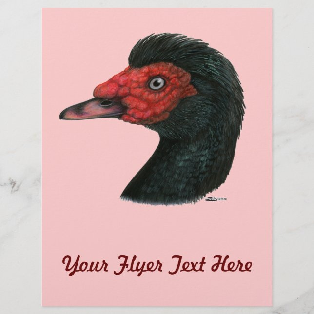 Duck:  Muscovy Head Flyer (Front)