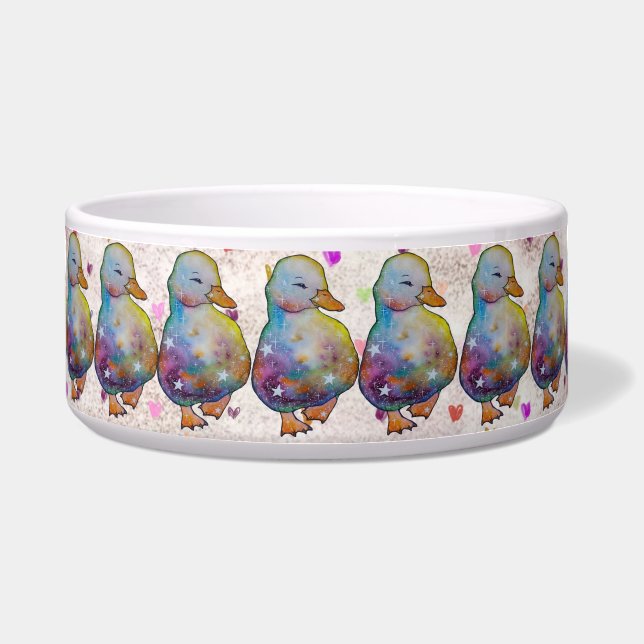 Duck named Rainbow (Front)