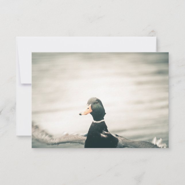 Duck Nature Photo Card (Front)