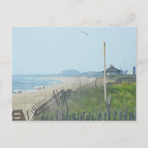 Duck North Carolina Coastline Postcard
