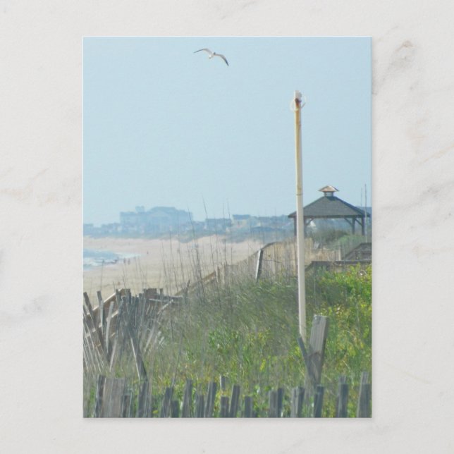 Duck North Carolina Coastline Postcard (Front)