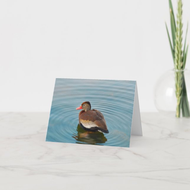Duck Note Card (blank) (Front)