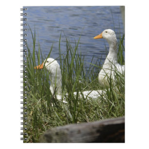 Duck Notebook