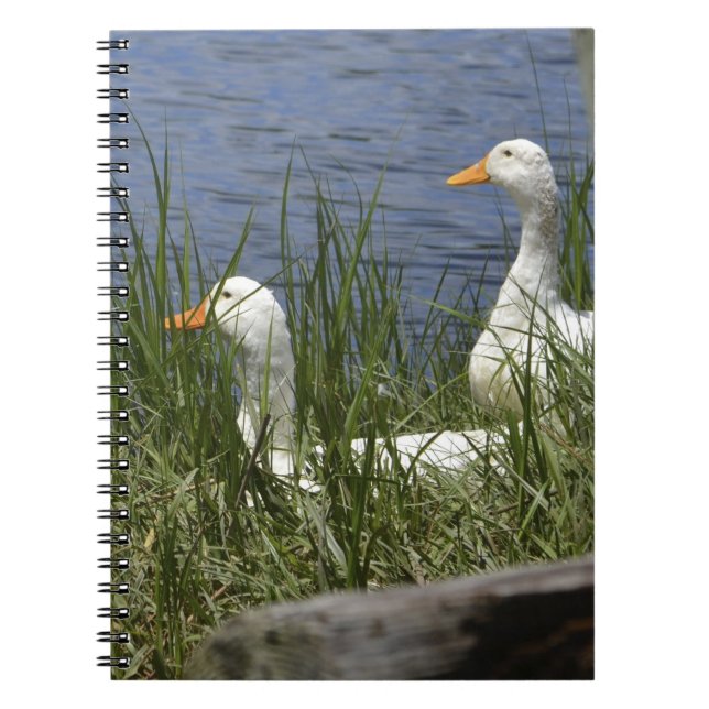 Duck Notebook (Front)