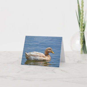 Duck Notecard