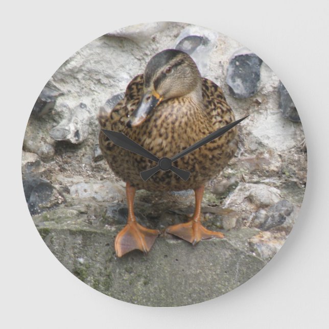 Duck on a Wall Clock (Front)