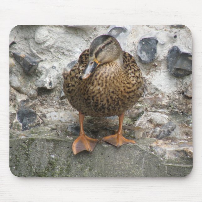Duck on a Wall Mousepad (Front)