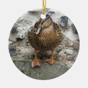 Duck on a Wall Ornament