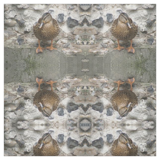 Duck on a Wall Patterned Animal Fabric (Swatch)