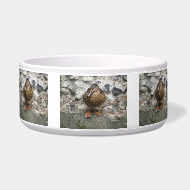 Duck on a Wall Pet Bowl (Front)