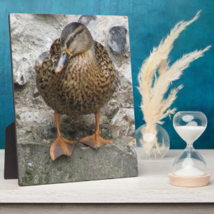 Duck on a Wall Plaque