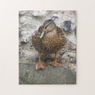 Duck on a Wall Puzzle