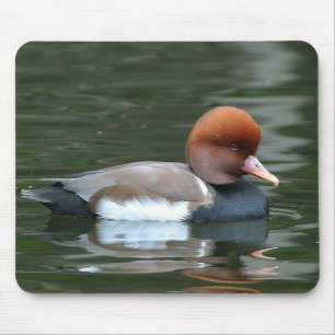 duck on river mousepad