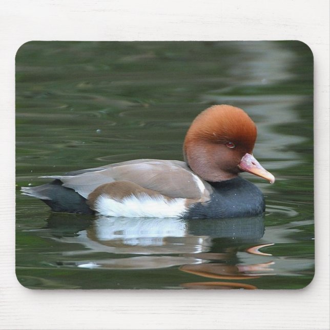 duck on river mousepad (Front)