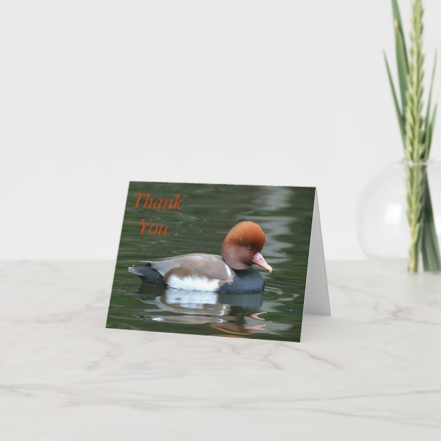 duck on river thank you note card (Front)