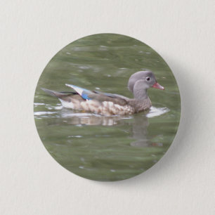 Duck on the Lake Button