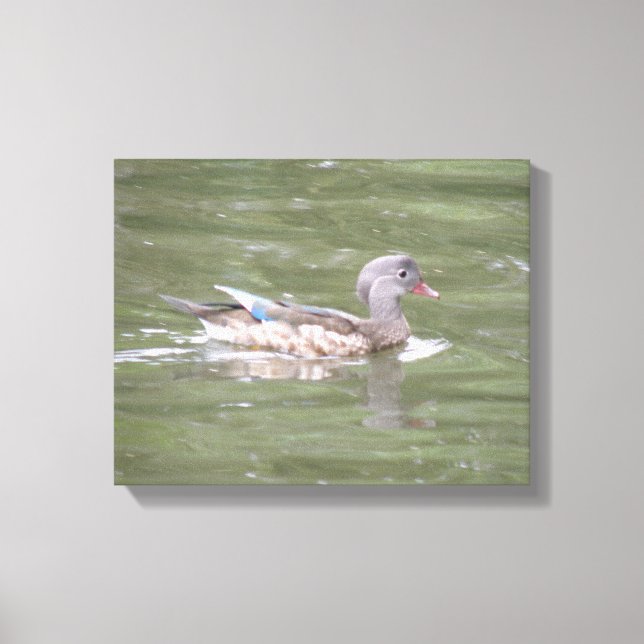 Duck on the Lake Canvas Print (Front)