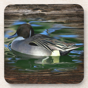 Duck On The Lake Coaster