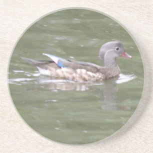 Duck on the Lake Coasters