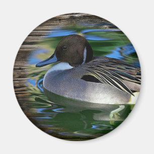 Duck On The Lake Magnet