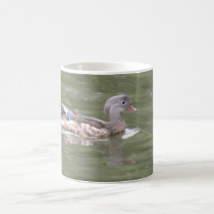 Duck on the Lake Mug