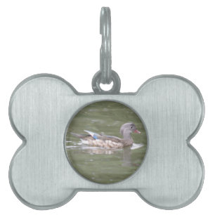 Duck on the Lake Pet Tag