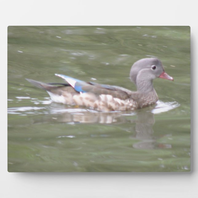 Duck on the Lake Plaque (Front)