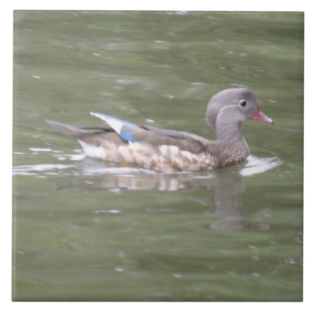 Duck on the Lake Tile (Front)
