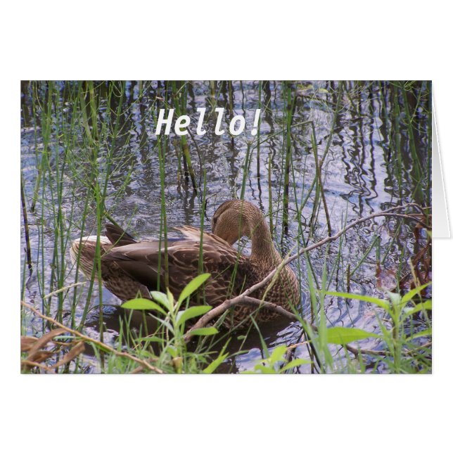 Duck on the water (Front Horizontal)