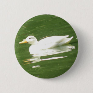 Duck on the water Button
