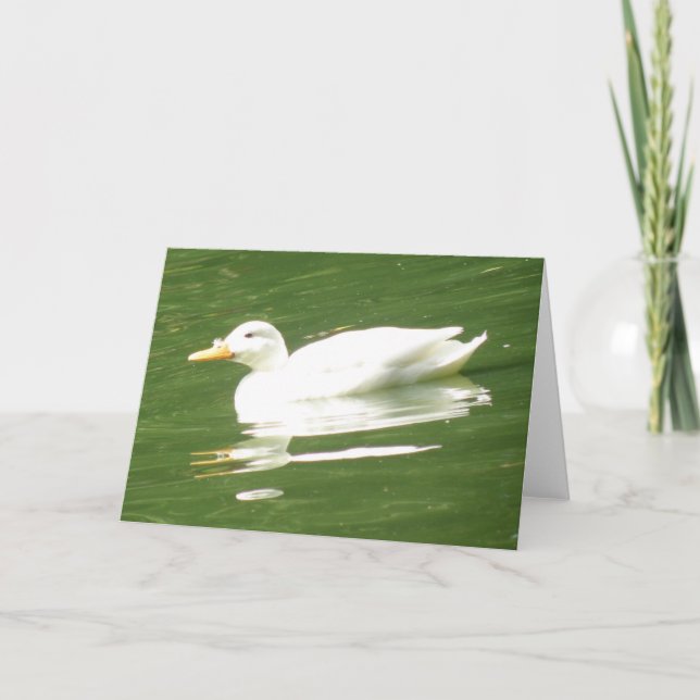 Duck on the water Greeting Card (Front)