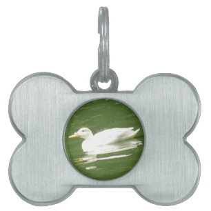 Duck on the Water Pet Tag