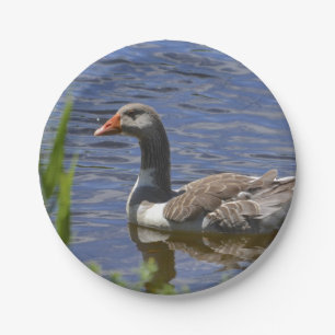 Duck Paper Plate