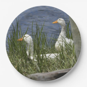 Duck Paper Plate