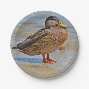 Duck Paper Plate