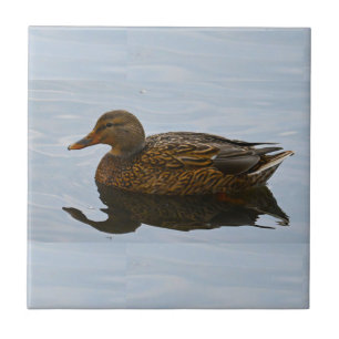 Duck Photo Ceramic Tile