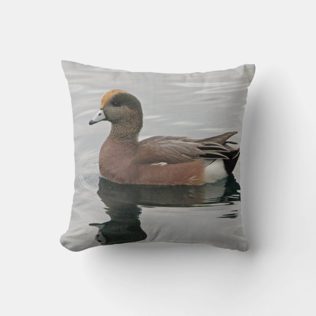 Duck Photo Lake Bird Wigeon Blue Brown Calm Water Cushion (Front)