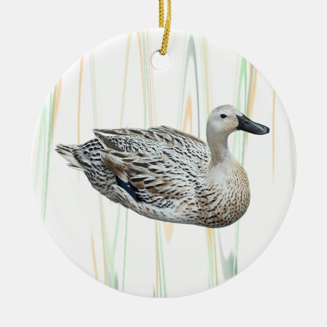 Duck Photo Ornament  (Front)