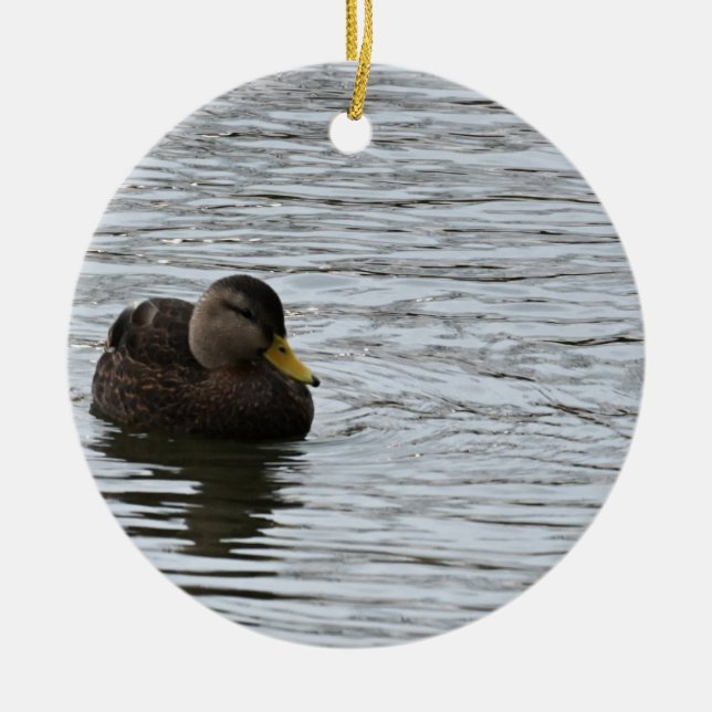 Duck Photo Ornament  (Front)