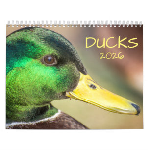 Duck Photography 2025 Calendar