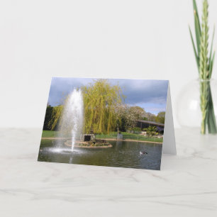 Duck pond in springtime holiday card
