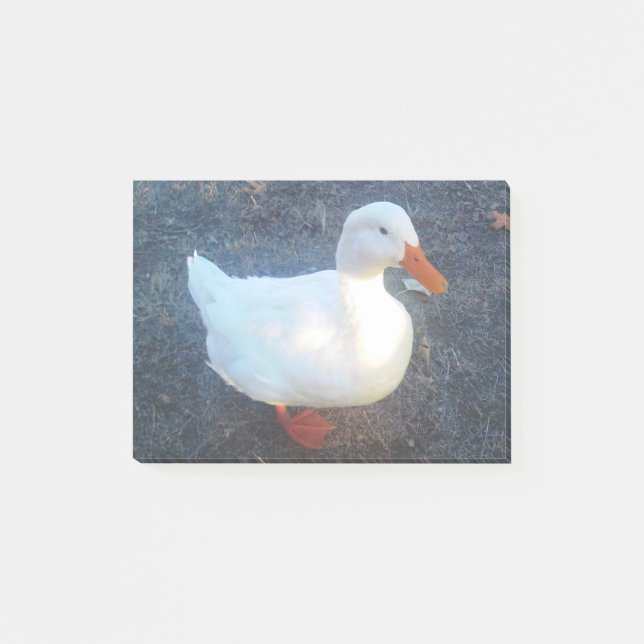 Duck Post-it Notes (Front)