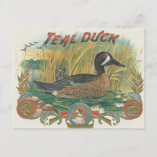 Duck Postcard