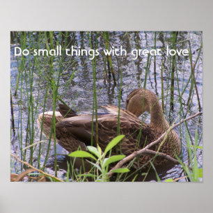 Duck Preening in the Reeds Poster