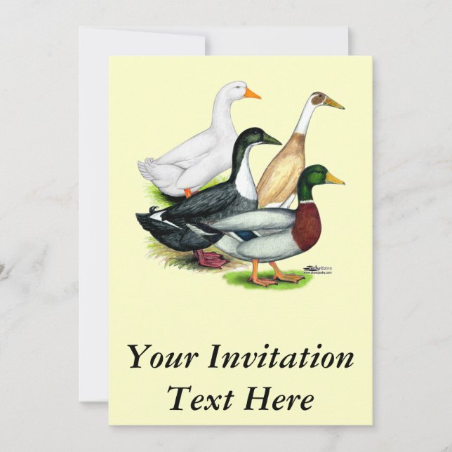 Duck Quartet Invitation (Front)