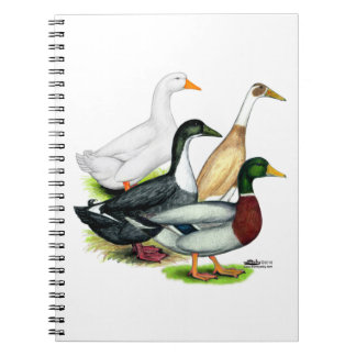 Duck Quartet Notebook